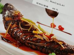 -河州宾馆清真餐厅(文锦南路店)