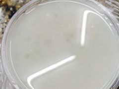 香芋西米-百花传统甜品店(原址店)