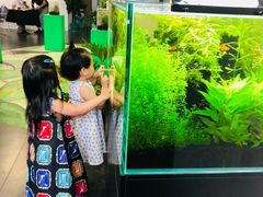 -UCCA Kids 儿童美育