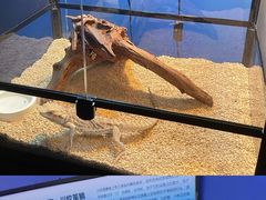 -正佳极地海洋世界