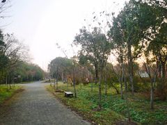 -上海海湾国家森林公园