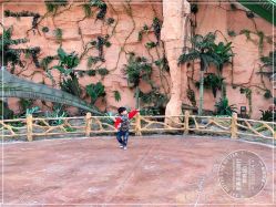 点击看大图 -宝燕乐园(闵行旗舰店)