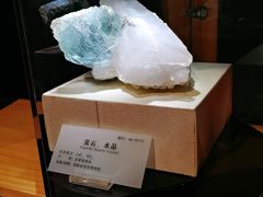 -湖南省地质博物馆