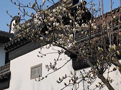 -碧丽宫大酒店(召稼楼店)