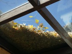 -VOYAGE COFFEE(北锣鼓巷店)