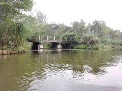 -溱湖国家湿地公园