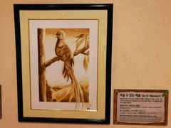 -信不信由你博物馆