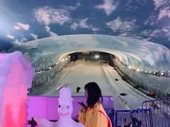 -世界之窗阿尔卑斯冰雪世界