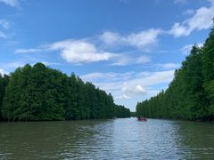 -上海海湾国家森林公园