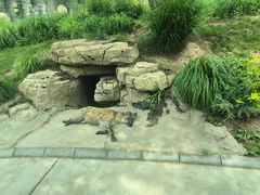 -北京野生动物园