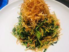 巧拌豆苗-四季民福烤鸭店(王府井灯市口店)