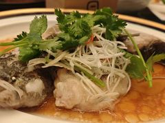 -新天世纪中餐厅