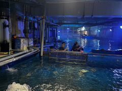 -太平洋海底世界