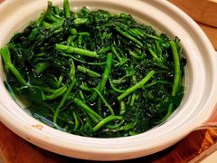 原汁原味西洋菜-利苑酒家(华熙国际店)