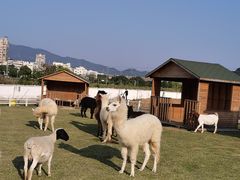 -光明农场大观园