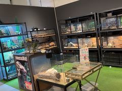 -FAIRYLAND龙族星球主题餐厅(凯丹广场店)