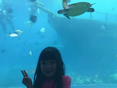 -瑞德姆美人鱼海底演艺主题餐厅(亚龙湾店)