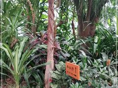 -滕头生态酒店(奉化店)