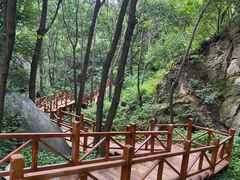 -大岭沟猕猴桃谷风景区