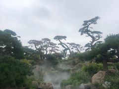-罗红摄影艺术馆