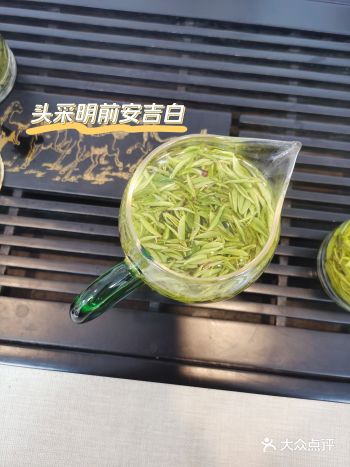  2022年头采明前安吉白茶，茶中的“白富美”