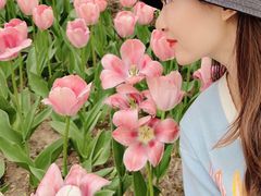 -朝阳公园游乐园