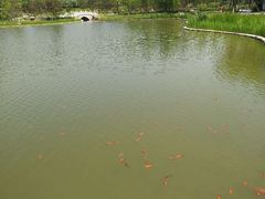 -西海子公园
