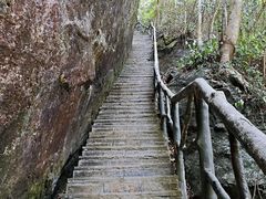 -石台牯牛降景区
