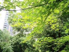 小区环境-耀江文鼎苑