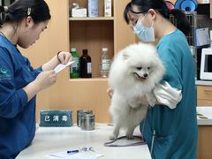 -联合动物医院(光谷诊疗中心)