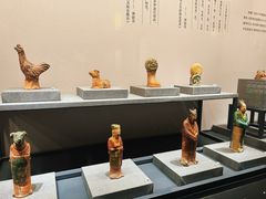 -四川大学博物馆
