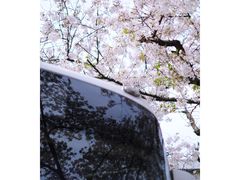 -南浦大桥长途旅游客运站