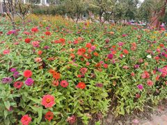 -常州大学怀德学院