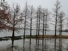 -迪士尼小镇