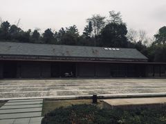 -美丽洲堂