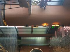 -奢月酒店(成都华西二院锦江院区三圣花乡地铁站店)
