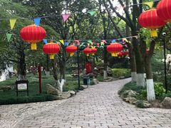 -瀛洲公园