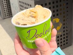 -Dooley's Premium Ice Cream