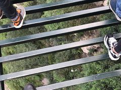 -梦幻奥陶纪景区