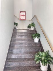 -YESIDO椰岛美容