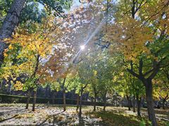 -元大都城垣遗址公园