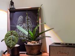 -本無咖啡·BeanWood Coffee