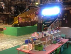 -卡通尼·Safari非洲探索乐园·生日会(金桥国际商业广场店)