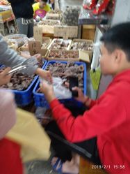 -新奇玩具工厂店