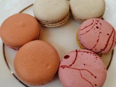 -视博茶点(美狮美高梅店)