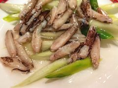 -新光酒家·河豚·海鲜·蟹料理(浦东店)