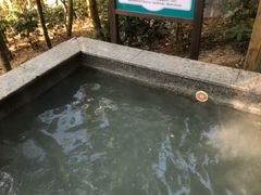 -江南天池高山汤泉城
