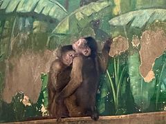 -西安秦岭野生动物园