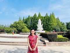 -水杉园
