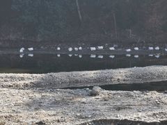 -绩溪龙川景区